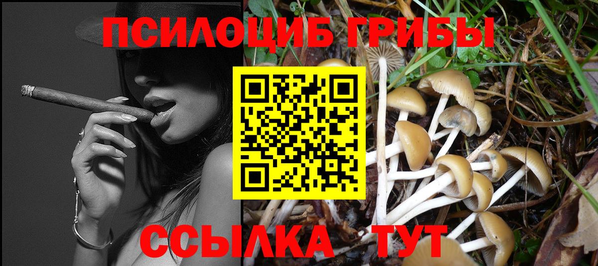 Вичуга  Псилоцибиновые грибы мицелий  Вход с VPN 